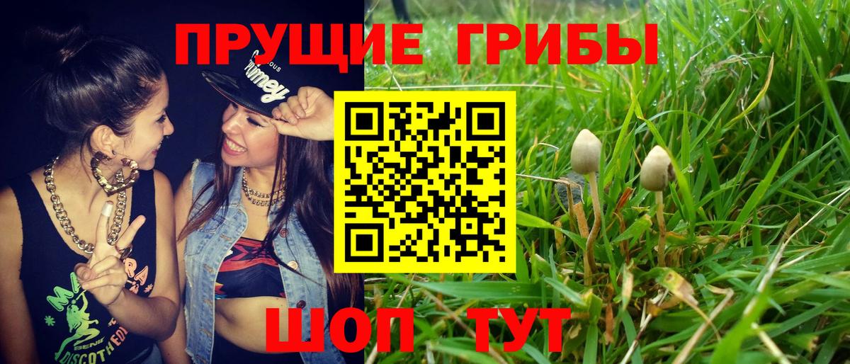 Галлюциногенные грибы ЛСД Ростов-на-Дону